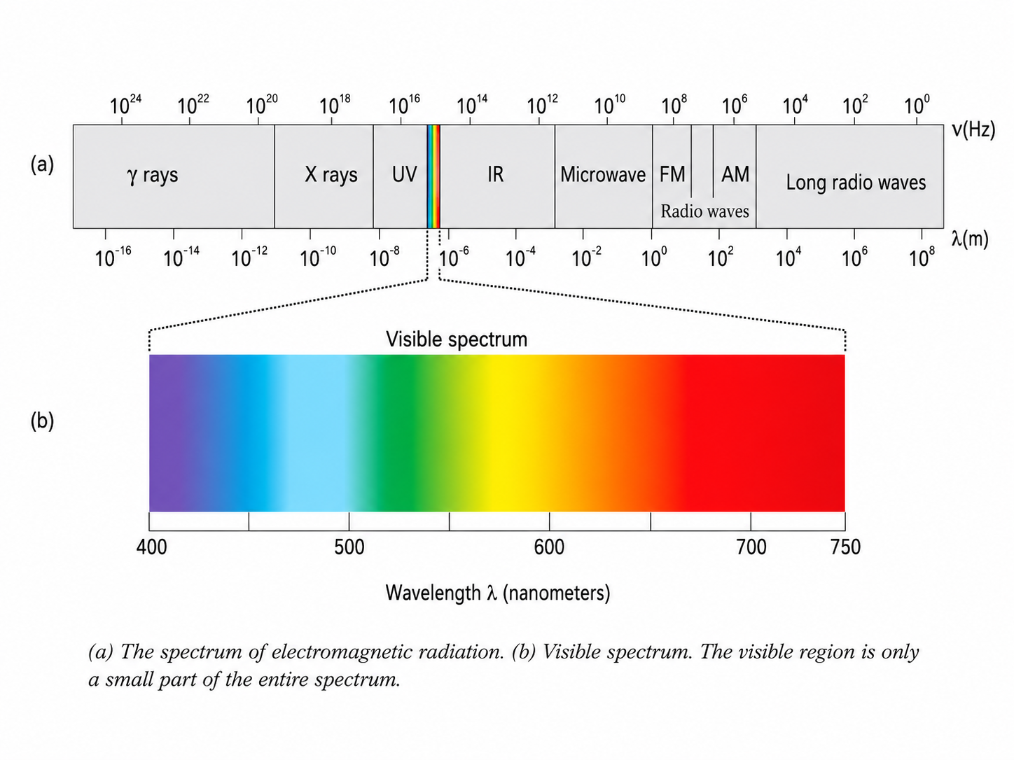 Fig 2.7: Electromagnetic Spectrum